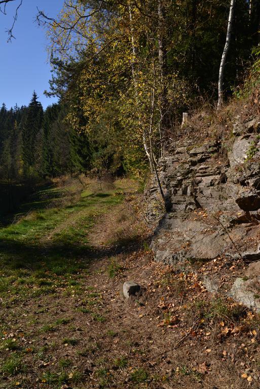 Pension Najdek Žďár nad Sázavou Extérieur photo